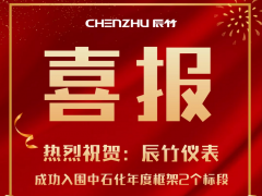 捷报鸿喜 辰竹仪表两个标段成功入围2021年度中石化采购框架