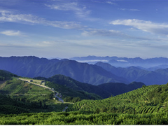 聚光科技碳监测助力实现“碳达峰”和“碳中和”目标