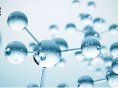 上海仪电科学仪器总酸及氨基态氮的全自动批量化测定