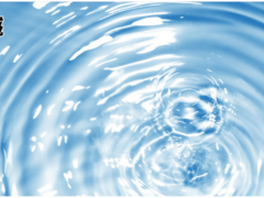 上海仪电科学仪器ZDY-504型水分测定仪