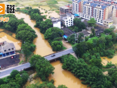 技术科技 智能检测 上海仪电饮用水水质检测及消毒剂检测解决方案