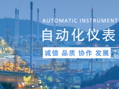 石油天然气管网集团一行莅临上海自仪电气阀门公司调研