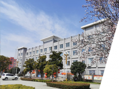 智能技术 助力发展 南阳副市长一行莅临微特电机进行视察调研