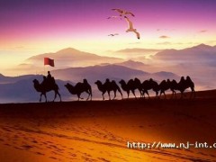 智慧制造 赋能未来丨柬埔寨马德望海螺光伏储能电站项目并网发电