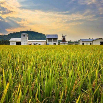 2023中国郑州国际有机食品产业展览