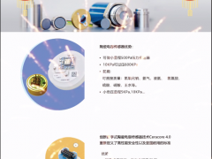 上海德萨堡传感器有限公司  总经理 王欣 2023年新春寄语
