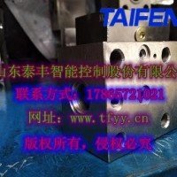 泰丰直销TLFA50DBWAT-7X插装阀盖板