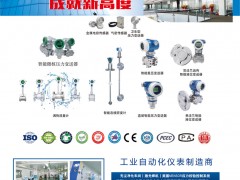 烟台奥特仪表的优势及其仪表行业的地位