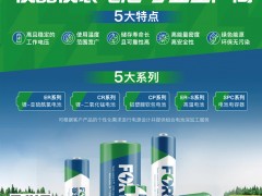 孚特锂能电池的5大系统产品以及作为仪器仪表电池专业生产厂产品的特点与优势？
