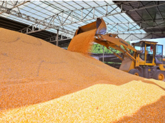 上榜“2025四川省综合竞争力百强镇” 仁寿县这两个乡镇凭