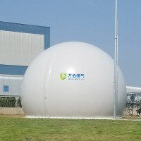 大白球双膜气柜WD68S