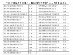 中国仪器仪表企业排名，按2024年营收(亿元)，A股上市公司