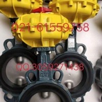 原装正品 德国依博罗EBRO气动扇形蝶阀  价格优惠