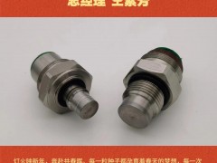 深圳市立鑫瑞测控科技有限公司 总经理 仝素芳2026年新春寄