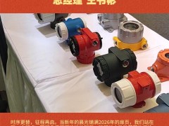 安徽九星仪表壳体股份有限公司 总经理 王书彬2026年新春寄语