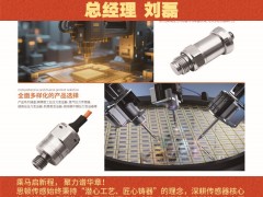 深圳市思顿传感技术有限公司  总经理 刘磊2026年新春寄语