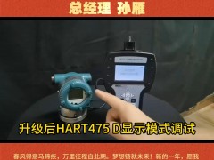 西安大生自控有限责任公司总经理 孙雁2026年新春寄语