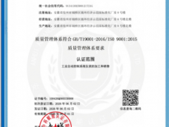 安徽泰华仪表顺利通过ISO9001质量管理体系认证，赋能品质