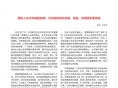 国机入主半年赋能加速!川仪股份尚存业绩、估值、兑现等多重挑战