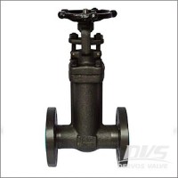 Forged Bellow Seal Gate Valve